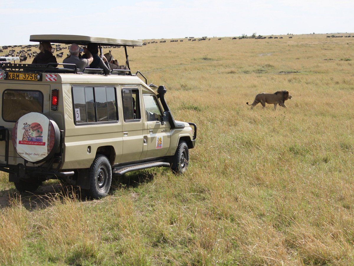 Kenya’s Twiga Tours Triumphs Again: World’s Leading Safari Company 2023