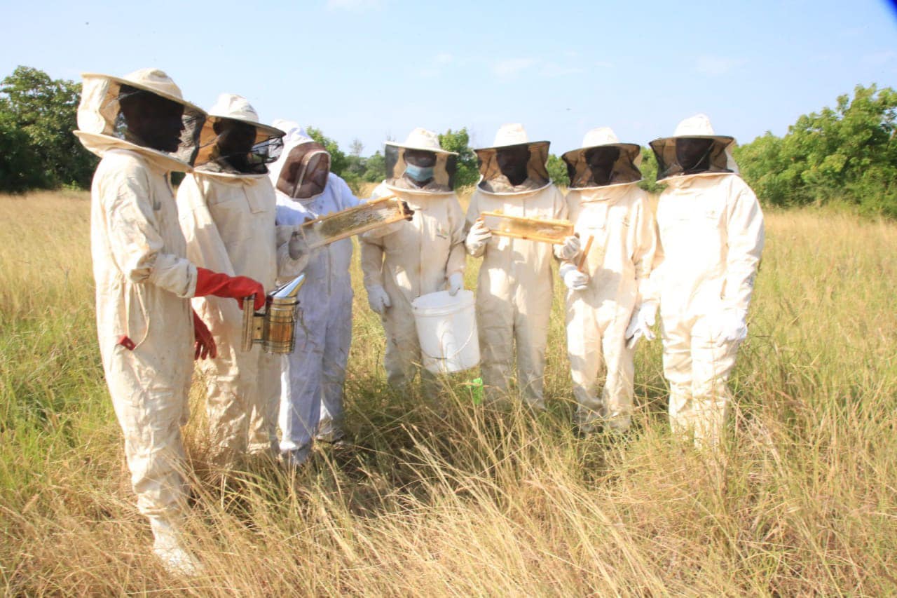 icipe and Mastercard Foundation Launch MaYEA Program for Ethiopian Youth in Beekeeping