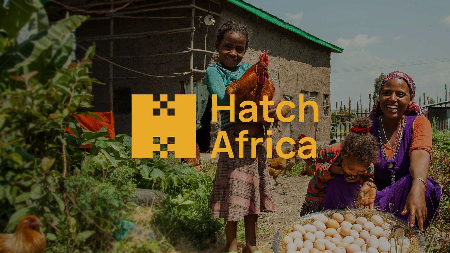 Pioneering Growth: Hatch Africa Secures $9.5 Million Investment for Pan-African Expansion