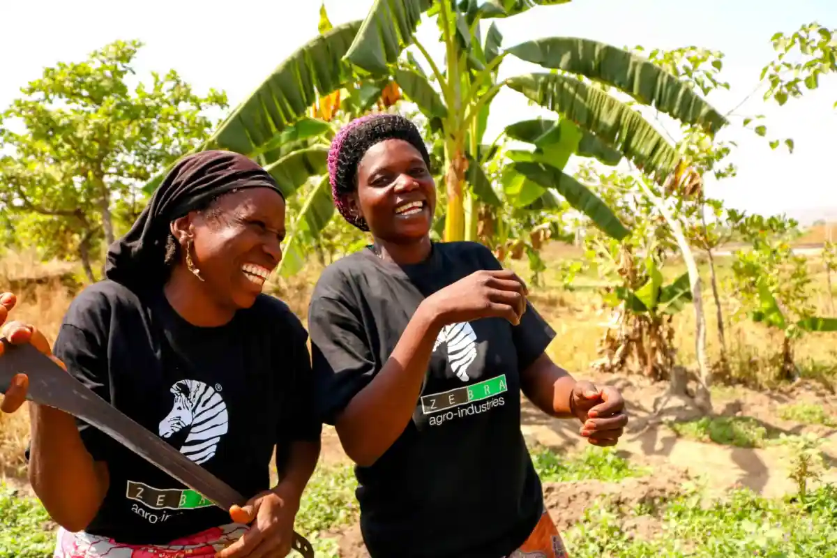 Empowering Africa's Small-Scale Farmers: Nigerian Agritech Zebra CropBank Secures Funding Boost