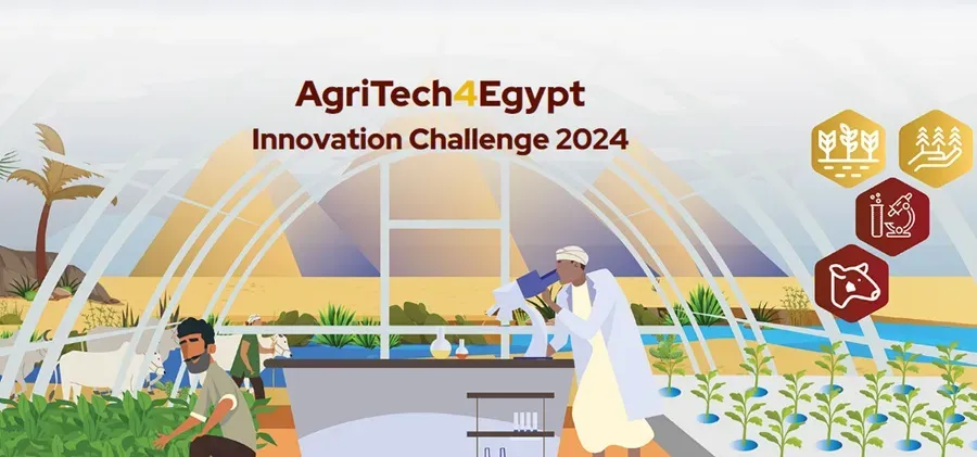 Cultivating Innovation: Applications Open for AgriTech4Egypt Innovation Challenge