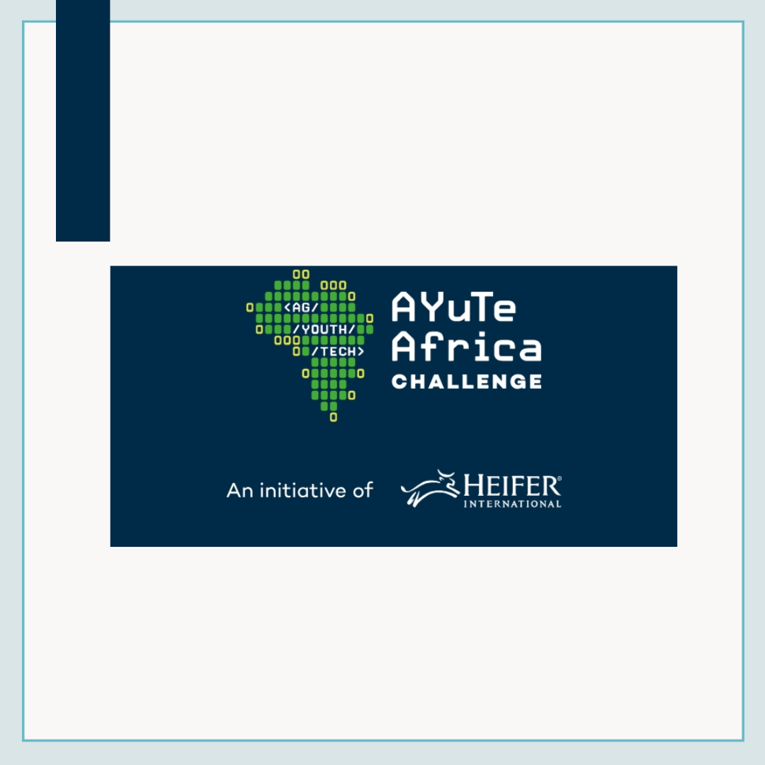 Call for Applications: The AYuTe Africa Challenge Nigeria 2024