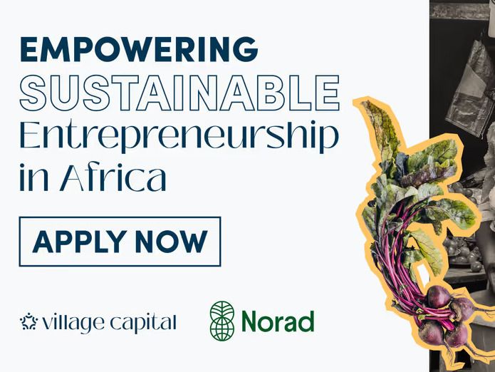 Empowering Climate Startups in Sub-Saharan Africa: Village Capital’s Call for ESOs