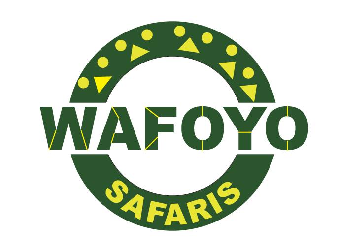 The Visionary Journey of Ugandan Felix Onen, Founder Wafoyo Safaris