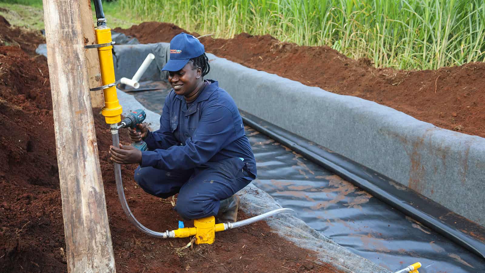 Nairobi based Sistema.bio Raises $15M to Scale Biogas Solutions for Global Sustainable Farming